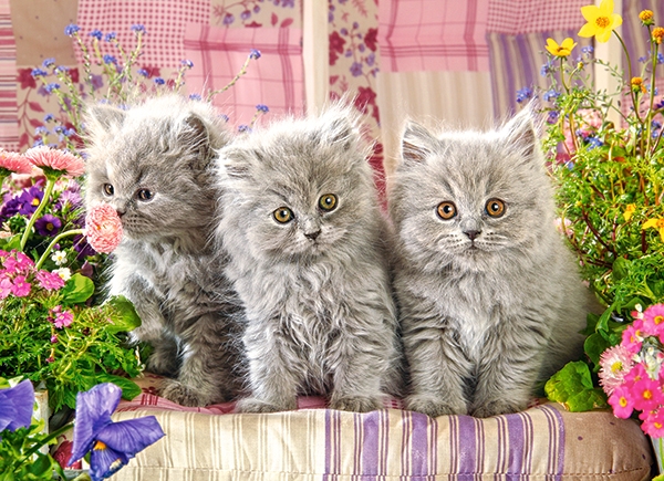 Пъзел Три сиви котета, 300 части, B-030330 Пъзел Три сиви котета, 300 части, B-030330