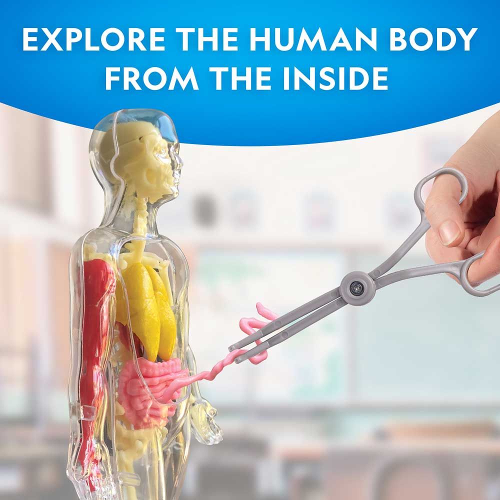 Образователен комплект Светещ макет на човеко тяло, STEM National Geographic, BGNGHUMBODY Образователен комплект Светещ макет на човеко тяло, STEM National Geographic, BGNGHUMBODY